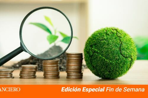 ¿Quién debe pagar por todo este des… orden?