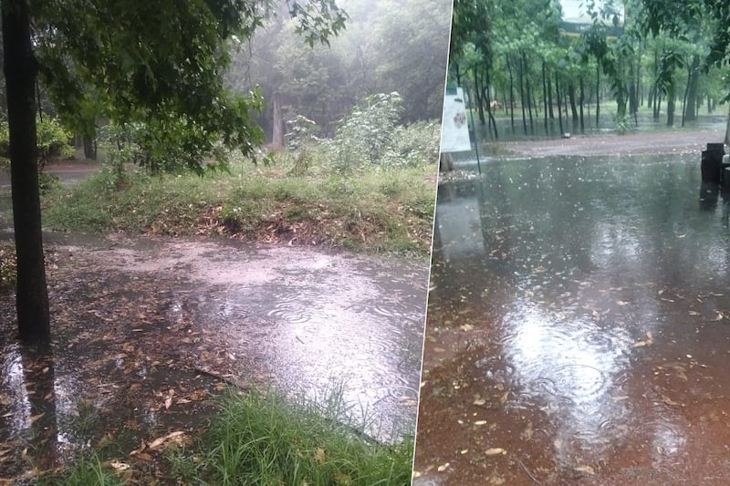¿Cerraron Viveros de Coyoacán de manera indefinida por las fuertes lluvias? Esto sabemos de su reapertura