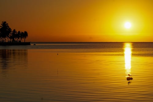 Península de Yucatán: Se espera un martes 10 de marzo caluroso en Cancún, Chetumal y Mérida