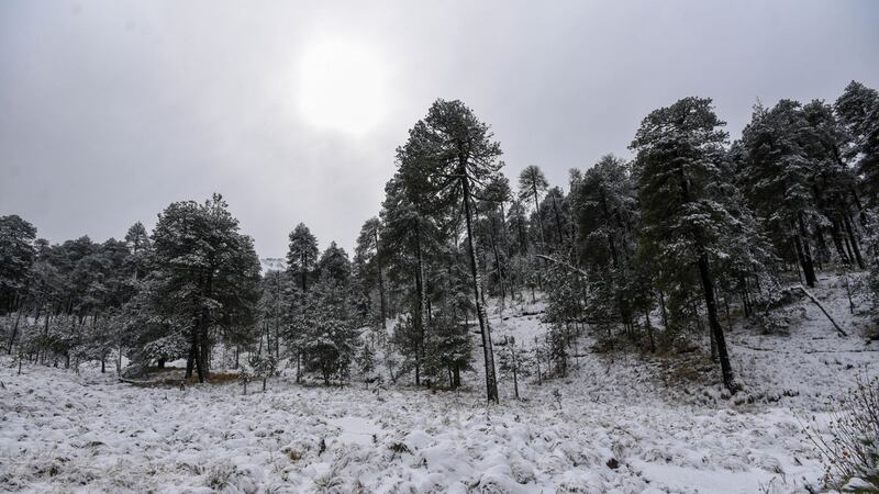 Frente frío 15 todavía no se va... pero ya se acercan el 16 y la primera tormenta invernal