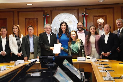 Somos México busca transparencia y reglas para el registro de partidos