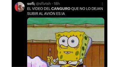 El video del canguro generó memes en redes sociales. (foto: Captura)