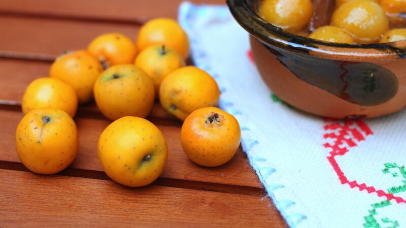 Beneficios de comer tejocotes, frutos orgullosamente mexicanos