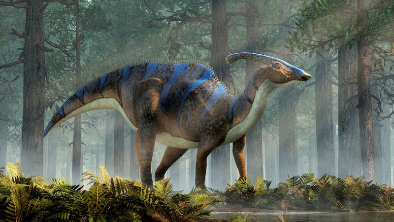 ¡Bienvenidos a Jurassic Park! China encuentra un embrión de dinosaurio