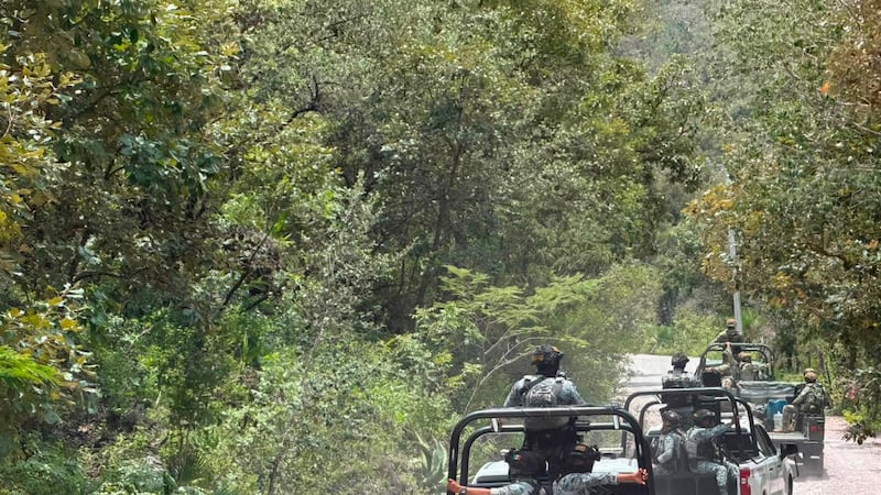 Bombardeo desde drones: Reportan heridos en sierra de Chilpancingo por ataque con explosivos