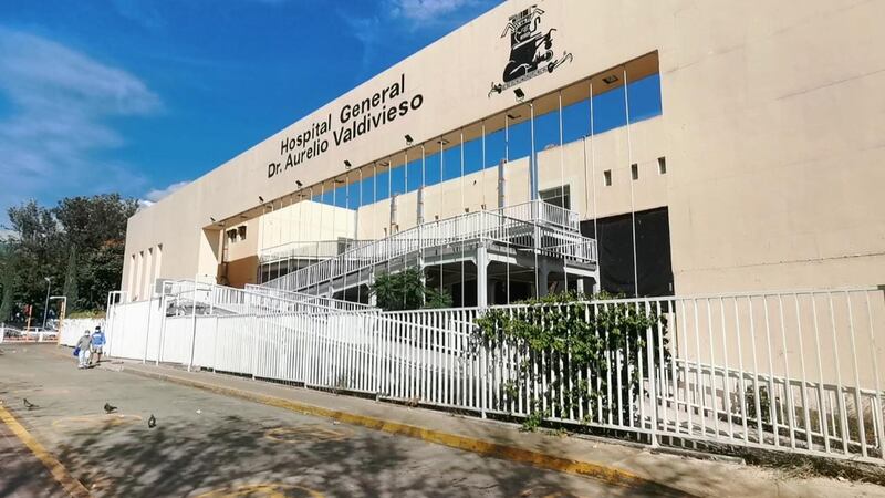 Fallece menor por mordedura de murciélago en Oaxaca; sospechan de rabia humana