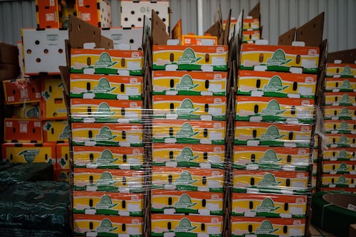 Exportaciones hacia EU rompieron récord en noviembre