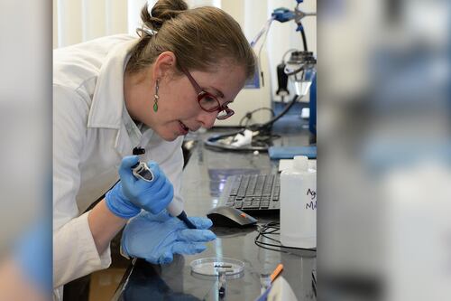 Ana Sofía Varela, científica de la UNAM, una las 15 promesas del mundo: Unesco