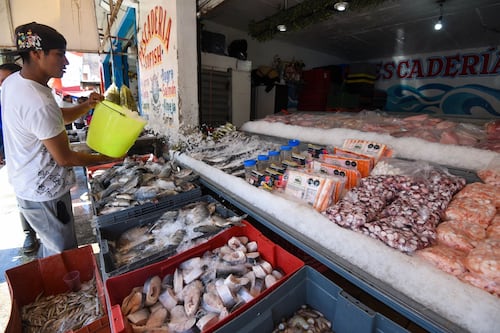 Camarón ‘se dispara’ 42% en CDMX por cuaresma: ¿Qué mariscos y pescados subieron y bajaron de precio?