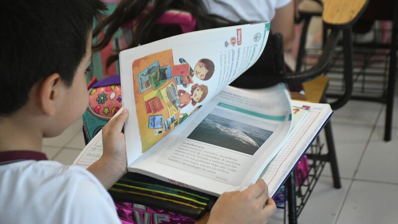 Nuevos libros de texto de la SEP excluyen a poblaciones vulnerables: Mexicanos Primero