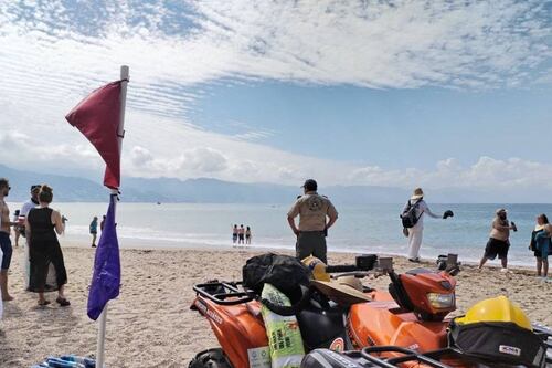 Cocodrilo sorprende a visitantes de playa en Puerto Vallarta