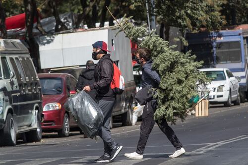No tires tu árbol de Navidad, recíclalo: A estos centros de acopio lo puedes llevar en CDMX