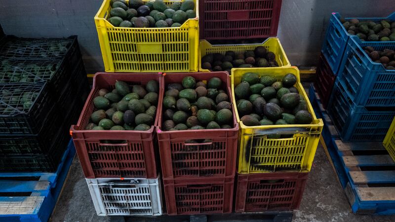 Exportaciones no petroleras crecen a pesar de los aranceles