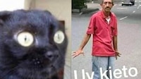 Sismo en Guerrero: los mejores memes para olvidar el movimiento telúrico en CDMX