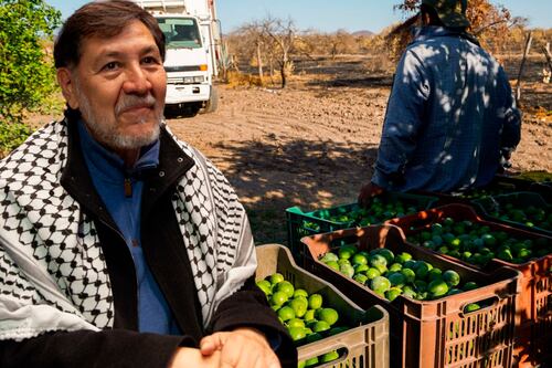 Noroña viajará a Palestina: ‘Debería ir a Apatzingán, que hable por los limoneros’, señala líder priista