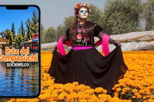 Ruta del Cempasúchil 2026: Fechas, horarios y actividades para conocer Xochimilco en Día de Muertos