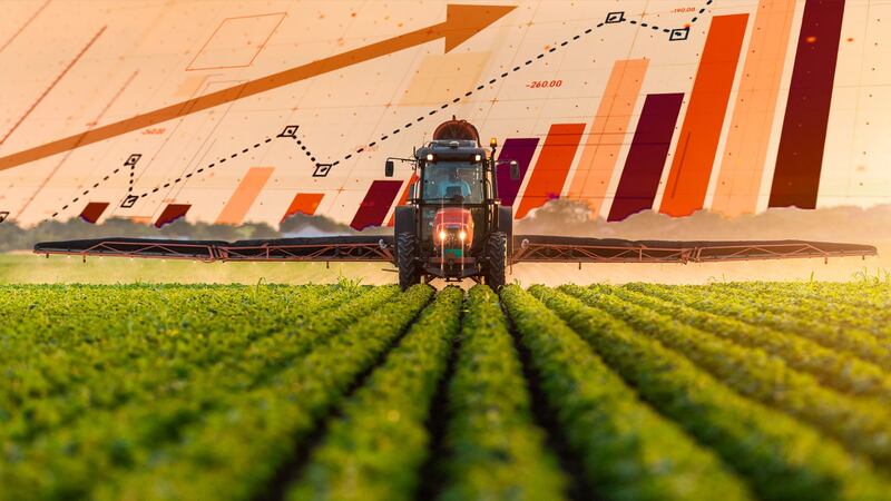 Guerra en Israel ‘pega’ a precios de los alimentos en todo el mundo