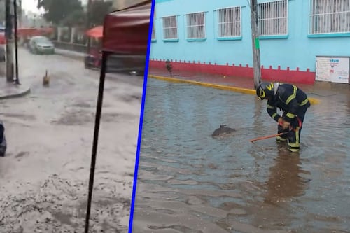 ¿Saldrán ajolotes por las lluvias? Inundaciones en CDMX dejan ‘ríos’ en Xochimilco y La Pensil