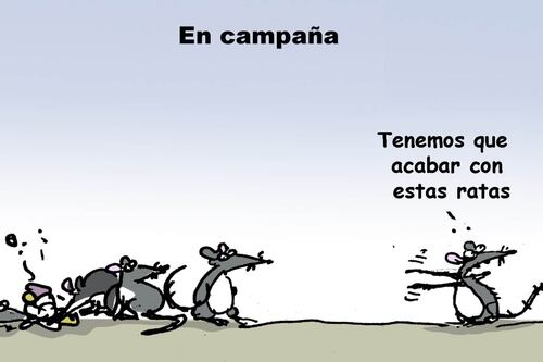 En campaña