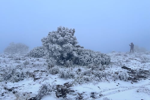 ‘Las nieves de enero’ dejan clases suspendidas y carreteras cerradas en México
