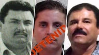 Los hermanos Guzmán Loera, una familia criminal ligada al Cártel de Sinaloa