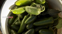 EU alerta por brote de salmonela ¿Por qué señala a jalapeños procedentes de México?