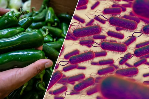 Cofepris revira a la FDA: No hay evidencia de que productos mexicanos causaran Salmonella y Cyclospora