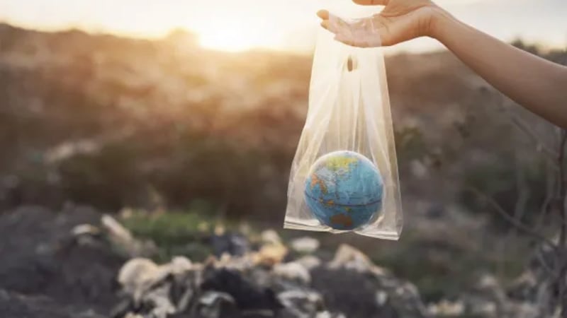 Transparencia climática: reportar bien sí es negocio