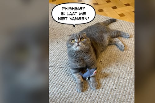 Él es Maximus, gato viral del primer ministro de Bélgica que predijo el triunfo de México vs. Sudáfrica