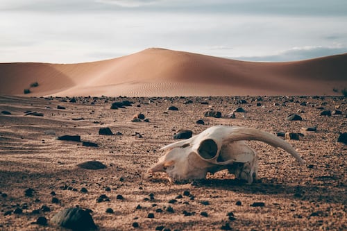 ¿Podemos sobrevivir al calor que viene?
