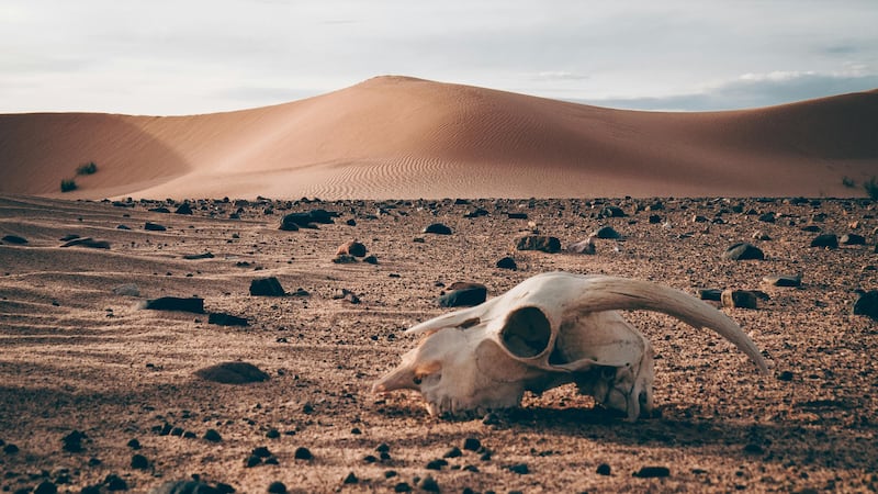 ¿Podemos sobrevivir al calor que viene?