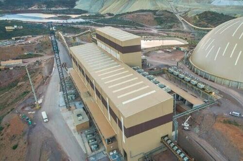 Animales muertos en Mar de Cortés no evidencian daños por derrame: Grupo México