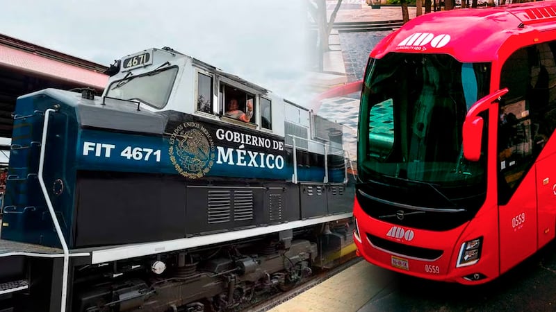 ¿Tren Interoceánico o autobús? De esta forma sale más barato ir de Coatzacoalcos a Salina Cruz