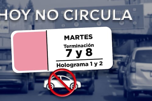 ¿Toca ir al trabajo en trajinera?: Así queda el Hoy No Circula en CDMX y Edomex este martes 19 de mayo