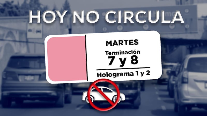 ¿Toca ir al trabajo en trajinera?: Así queda el Hoy No Circula en CDMX y Edomex este martes 19 de mayo