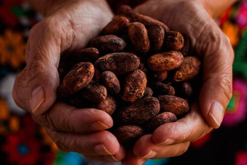 El bloqueo comercial del cacao