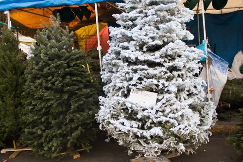 Los capitalinos le dicen 'no' a las posadas y 'sí' al arbolito