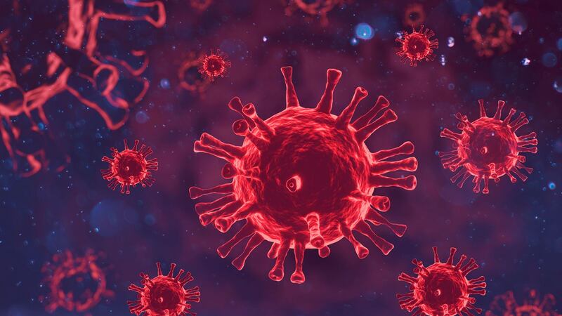 Grupo sanguíneo tipo A es más propenso a tener COVID grave: Estudio