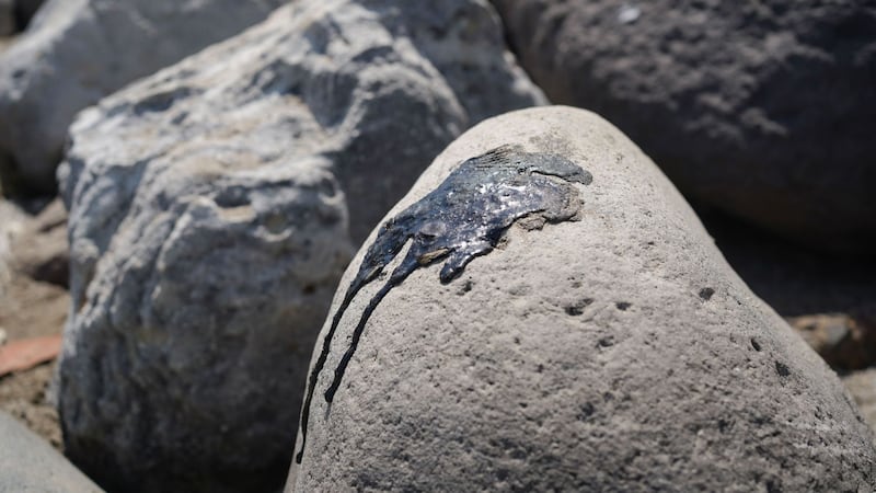 Chapopoteras en el Golfo de México: ¿Qué son y cómo contribuyeron al derrame de hidrocarburos?