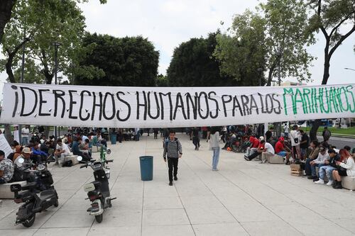 La pura buena vibra: Estrenan en CDMX ‘paraísos’ para fumar marihuana