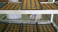 ¡Ya nos exhibiste! Profeco retiraría del mercado estas marcas de galletas por ‘mañosas’
