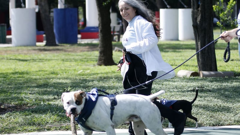 Clima en Nuevo León: Habrá calor intenso y cielo despejado este jueves 6 de agosto
