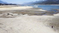 Cerveza ya no se producirá en el norte por sequía; AMLO ofrece ‘mudanza’ al sureste