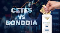 CETES vs. BONDDIA: ¿Cuáles son sus diferencias y cuál te conviene si quieres invertir?