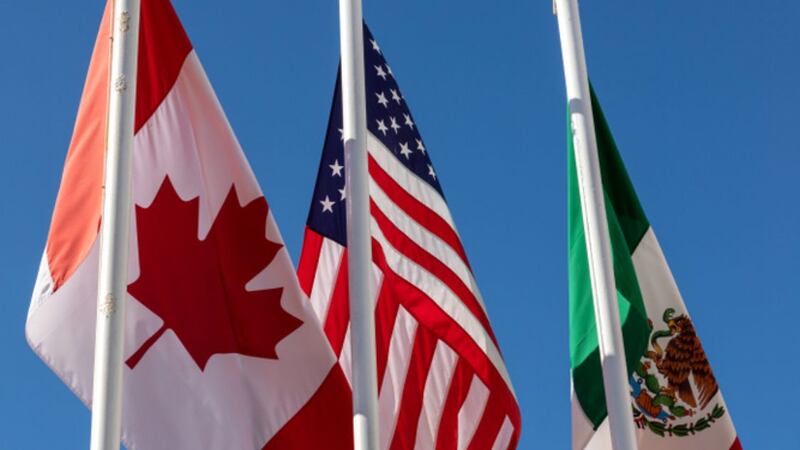 Demanda laboral del T-MEC debe cimbrar al país para quela reforma laboral no sea letra muerta: Susana Prieto