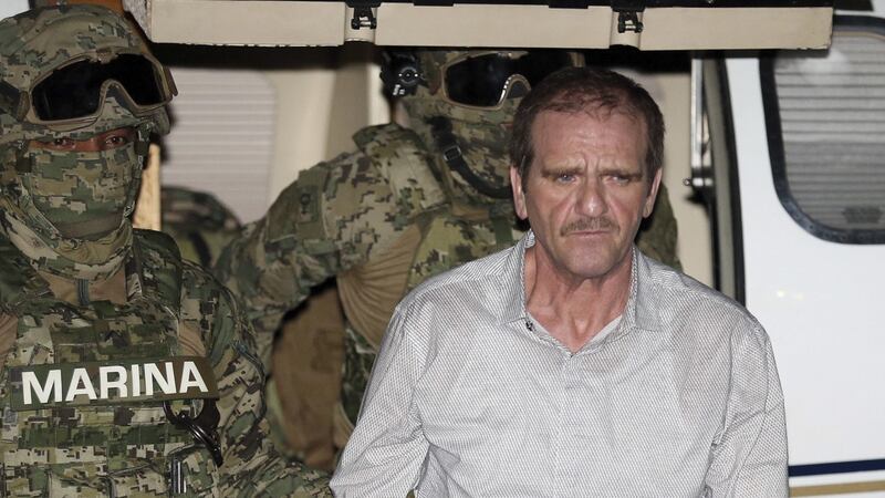 ¿Héctor El ‘Güero’ Palma puede salir libre? Esto sabemos