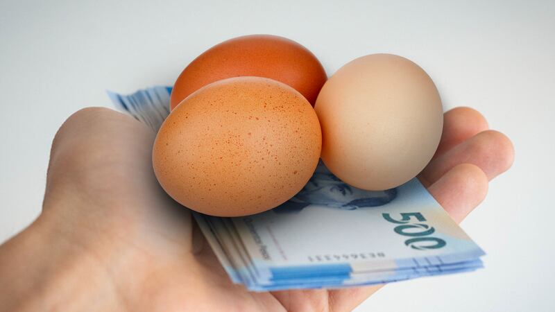 Huevo ‘clandestino’: El contrabando pegará al precio del ‘buevito’ en México