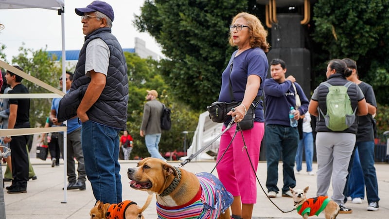 Abrígate en Edomex y CDMX: Temperaturas de 6 a 11°C para el jueves 29 de octubre