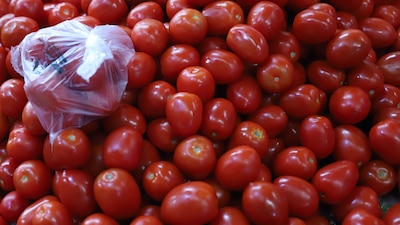 El consumidor termina pagando entre 43.24 y 55.50 pesos el kilo de jitomate (Foto: DANIEL AUGUSTO/ CUARTOSCURO)