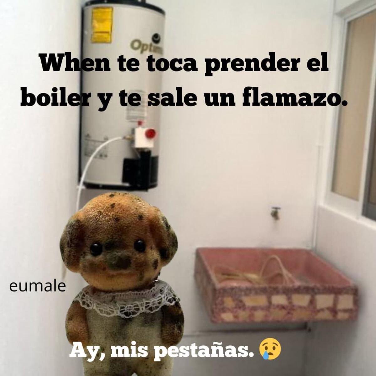 ¿De dónde salieron los ternurines que se roban Internet con tiernos ...